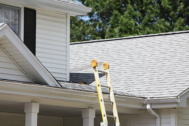 Shed Removal in Paulsboro, NJ